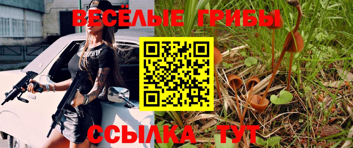 Галлюциногенные грибы мицелий  Галлюциногенные грибы прущие грибы  где можно купить наркотик  Томск  Вход с VPN 